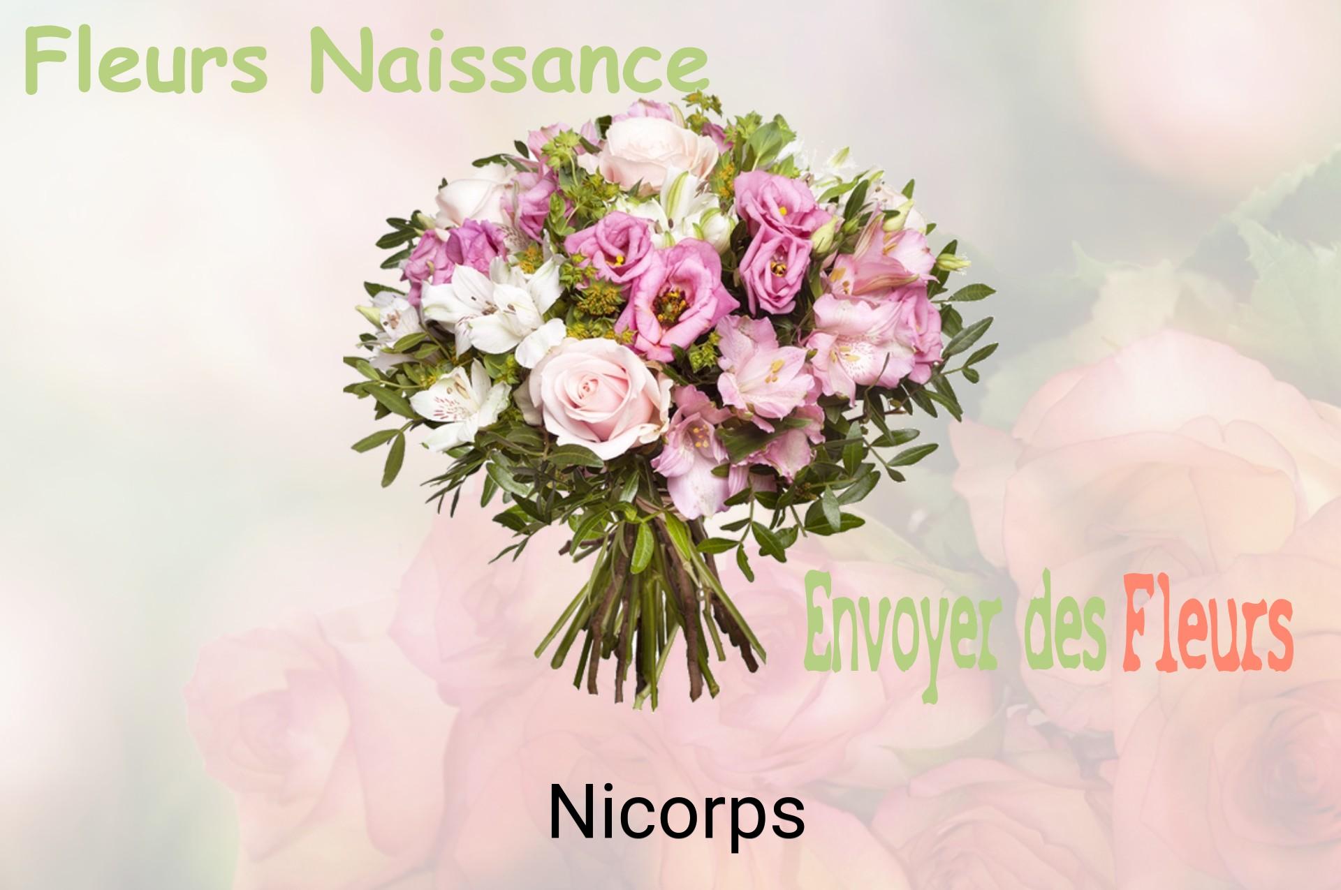 Bouquet de fleurs de naissance livré à Nicorps